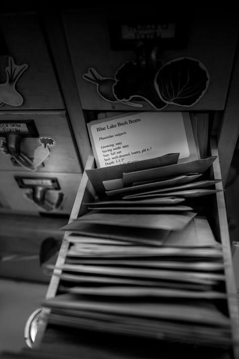 scenes from the library including mosaic artwork and poem, repurposed card catalog, study areas, books, and Black authors
