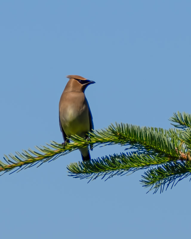 20250610-SJI3-490-Edit.jpg 20250610-SJI3-490-Edit.jpg