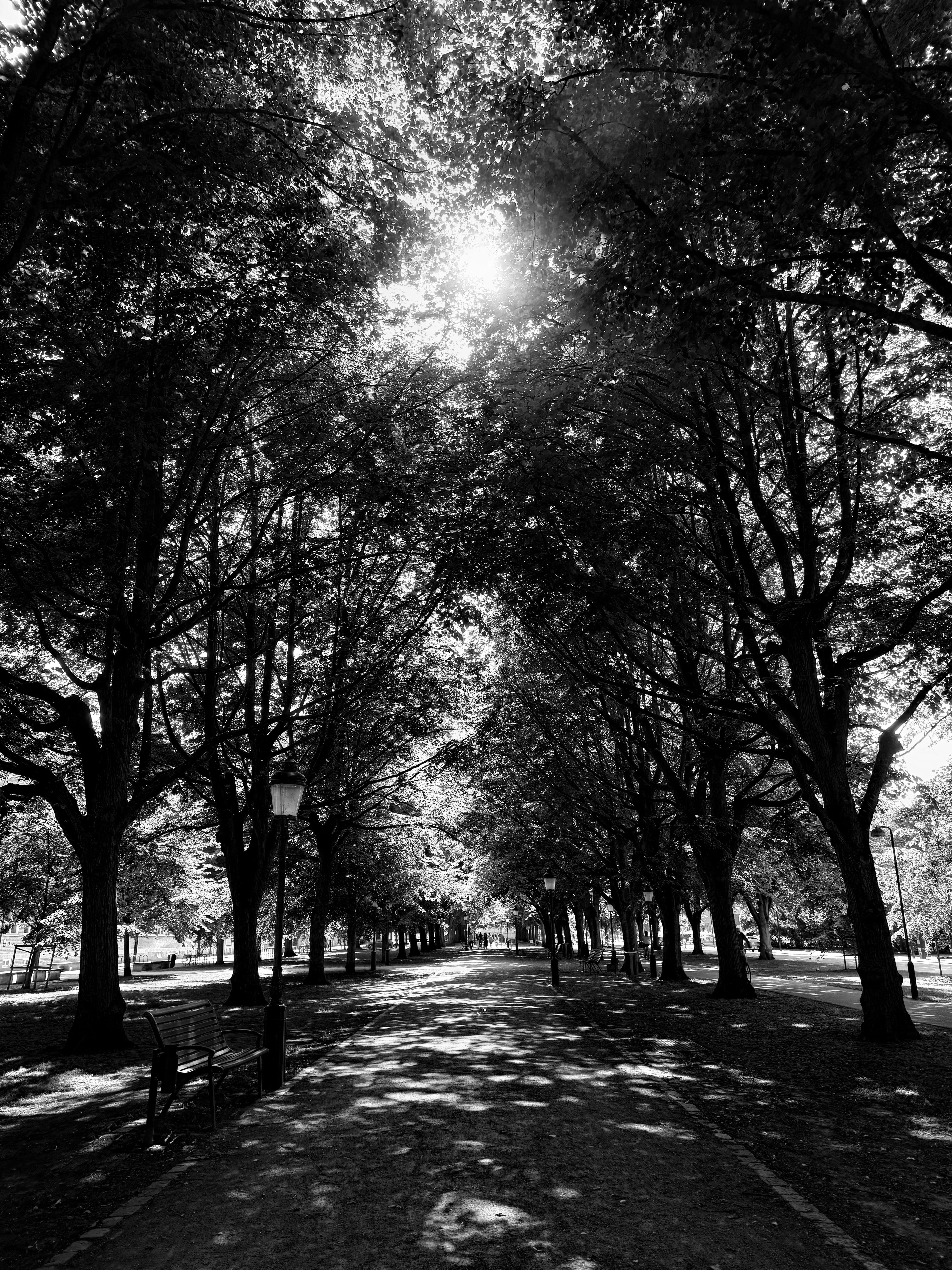 The Cost of Becoming Yourself