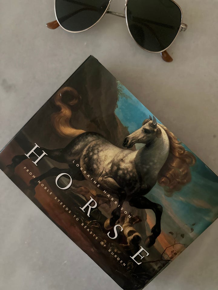 cover of book about horse paintings with a white horse galloping. It also shows an image from the book of a horse sketch by the artist Leonardo Davinci