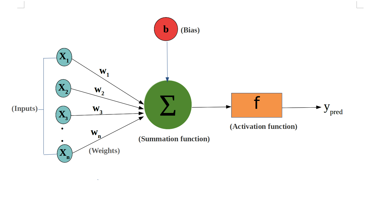 Weights and Bias in a Neural Network | Towards Data Science Weights and Bias in a Neural Network | Towards Data Science