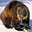 Coyote Marten's avatar