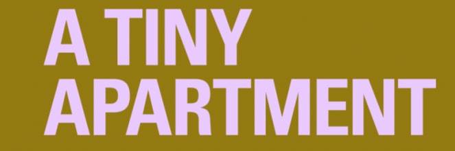 A Tiny Apt.