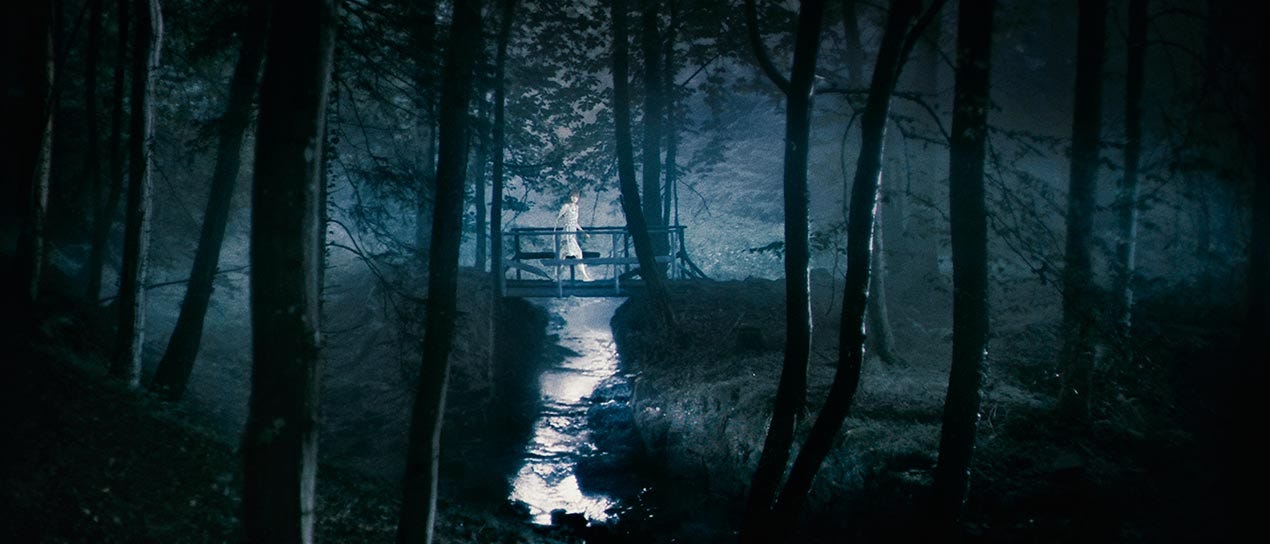 Lars von Trier, Antichrist, "Crossing", FREEZE FRAME GALLERY