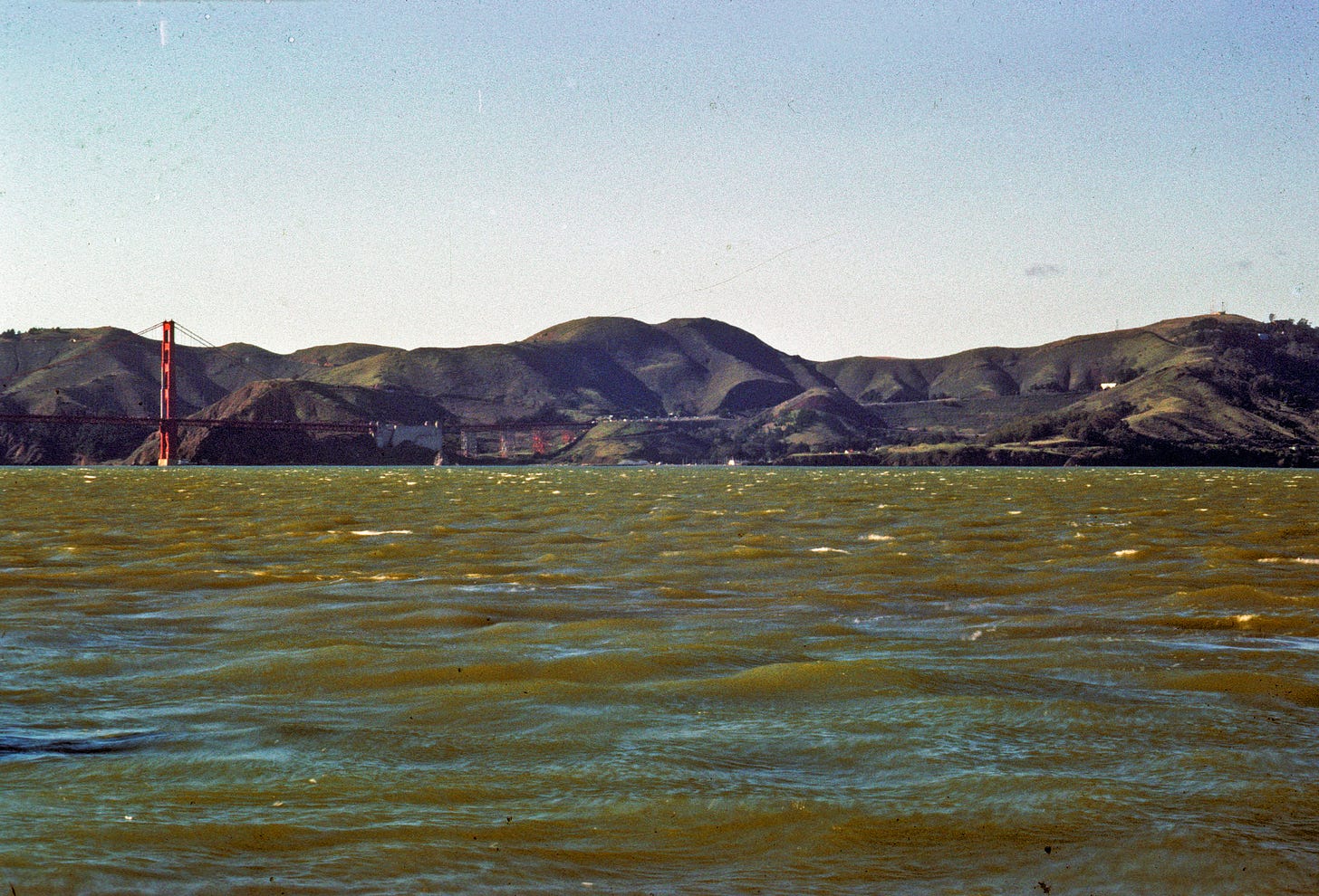 Bay waters green.jpg