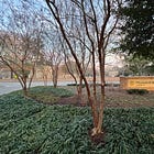 William & Mary Board of Visitors approves new academic programs, degrees and professional certificates