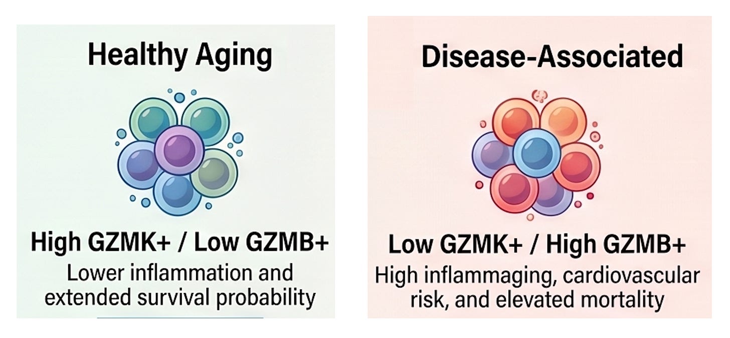 A tale of two T cells - by Eric Topol