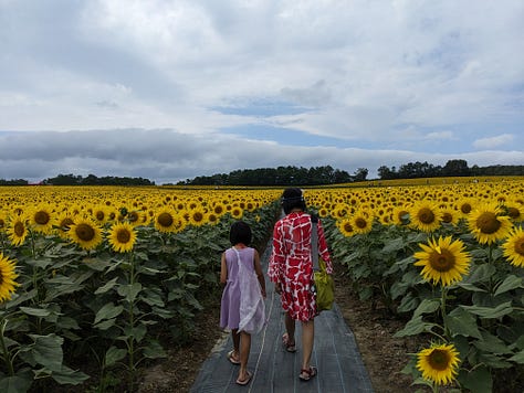 Hokuryu Sunflower Festival