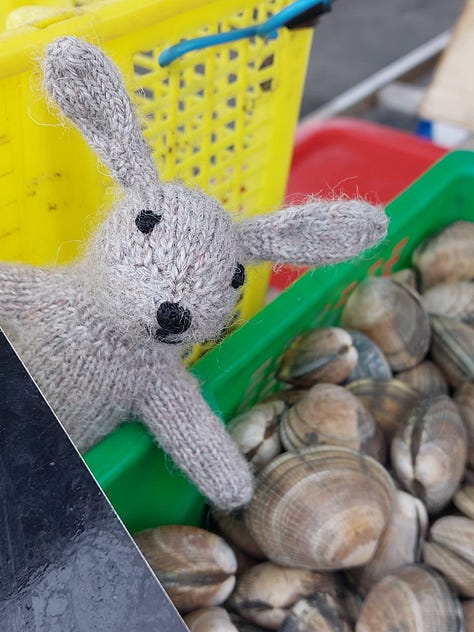 The Nibbles - marché de Cholet - La boite à moutons