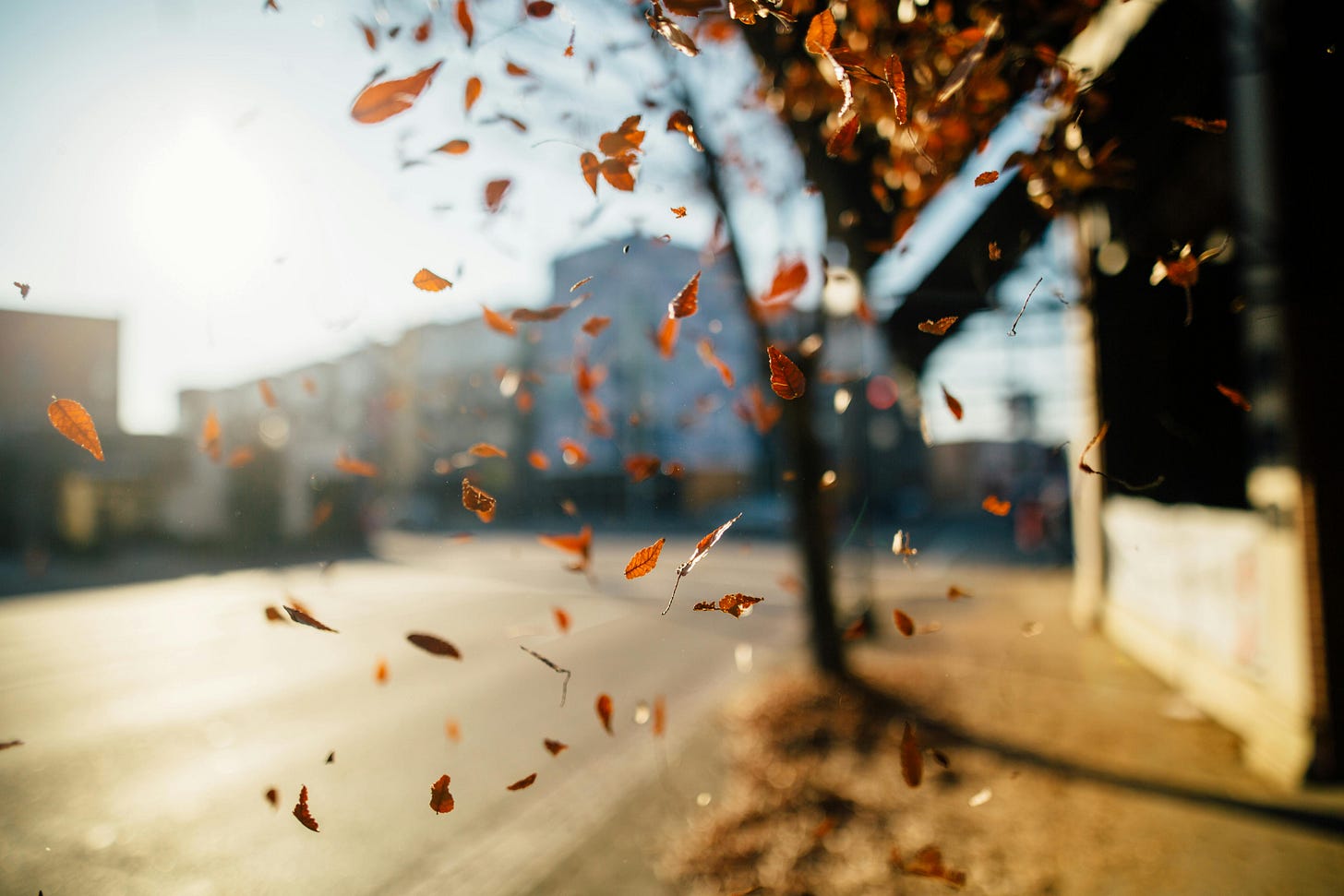 A foto captura uma cena ao ar livre, provavelmente em uma rua ou calçada. O destaque da imagem são várias folhas secas de tonalidade laranja-avermelhada que estão sendo sopradas pelo vento, criando um efeito visual dinâmico e elegante. O fundo está desfocado, mas ainda é possível perceber a presença de edifícios e árvores, sugerindo que a foto foi tirada em um ambiente urbano. A luz do sol é intensa e ilumina a cena, gerando um contraste marcante entre as folhas em movimento e o fundo mais suavizado. O cenário transmite a sensação de mudança, possivelmente relacionada ao outono, quando as folhas caem das árvores e são levadas pelo vento.