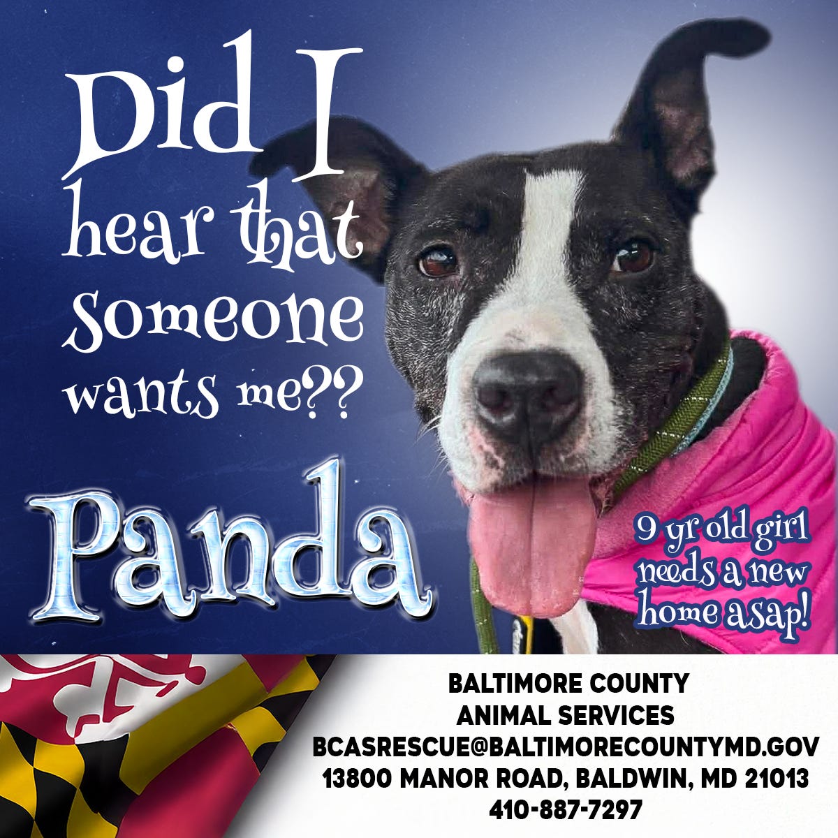 Meet Panda! Panda is a lovable nine-year-old lady who is full of heart ...