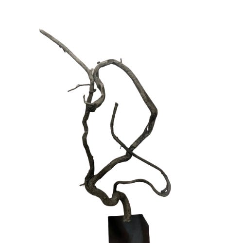 concurs d'objectes insòlits