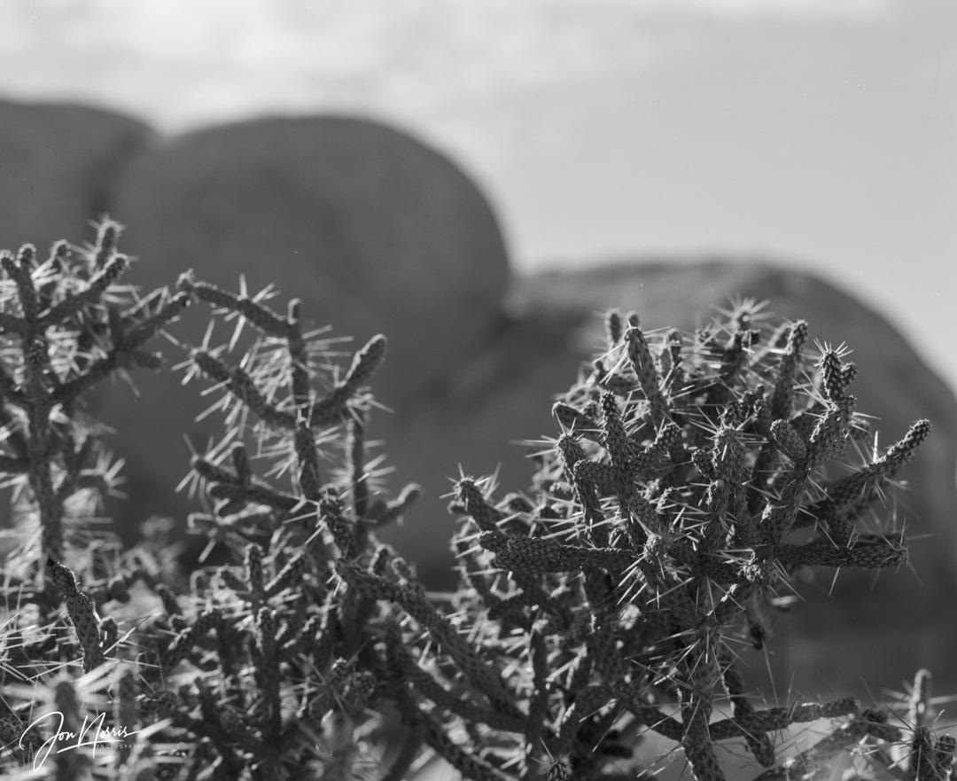 The Road Ahead: A Six-Month Journey Into the Craft of Landscape Photography