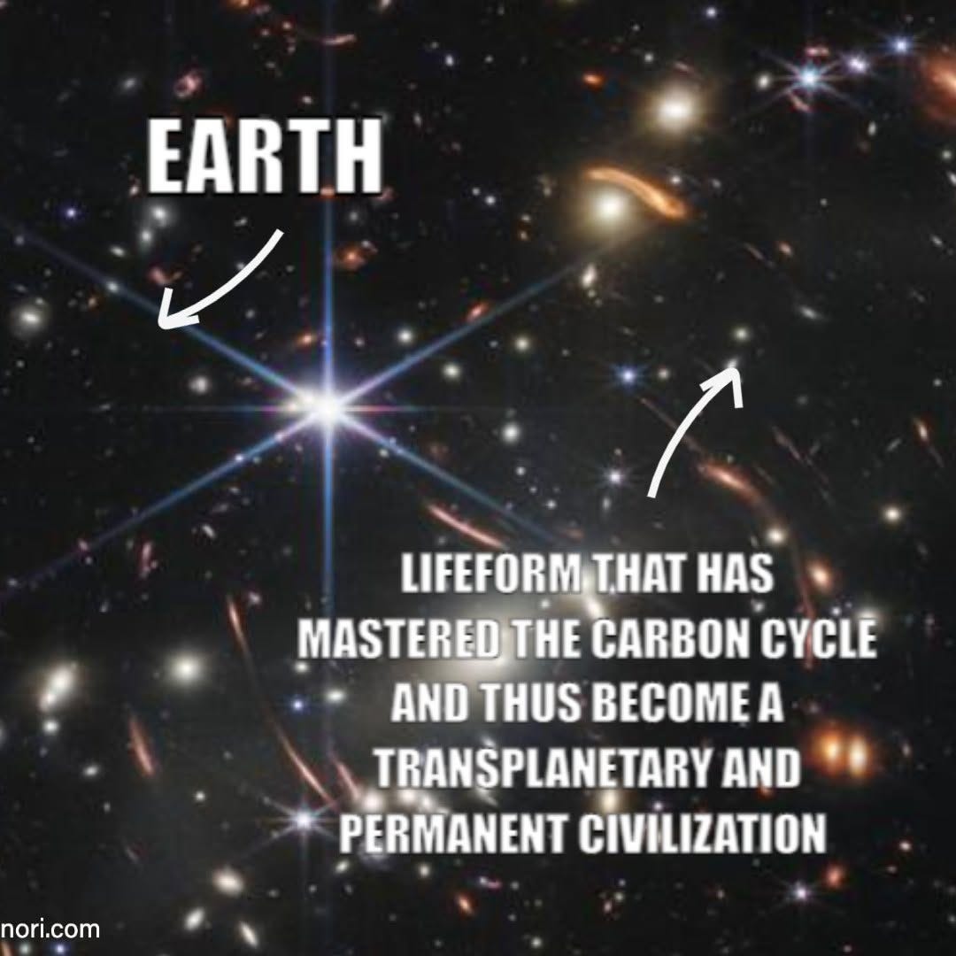 James Webb Space Telescope deep field image. One arrow points to a dot labelled "Earth"; another points to a spot labelled "Lifeform that has mastered the carbon cycle and thus become a transplanetary and permanent civilization".