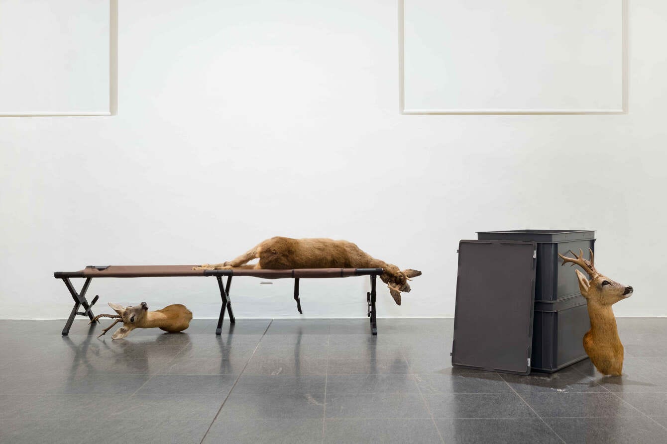 Roman Selim Khereddine - Plattform