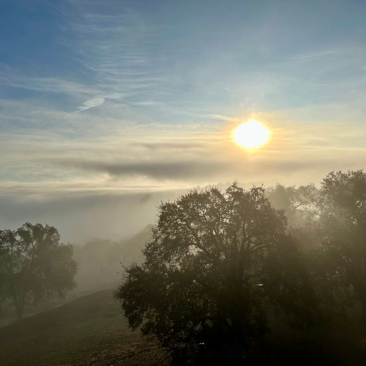 Present Clear Wakefulness