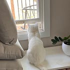Pets and Animals in Stories