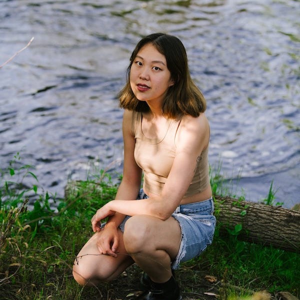 pictoria vark is online