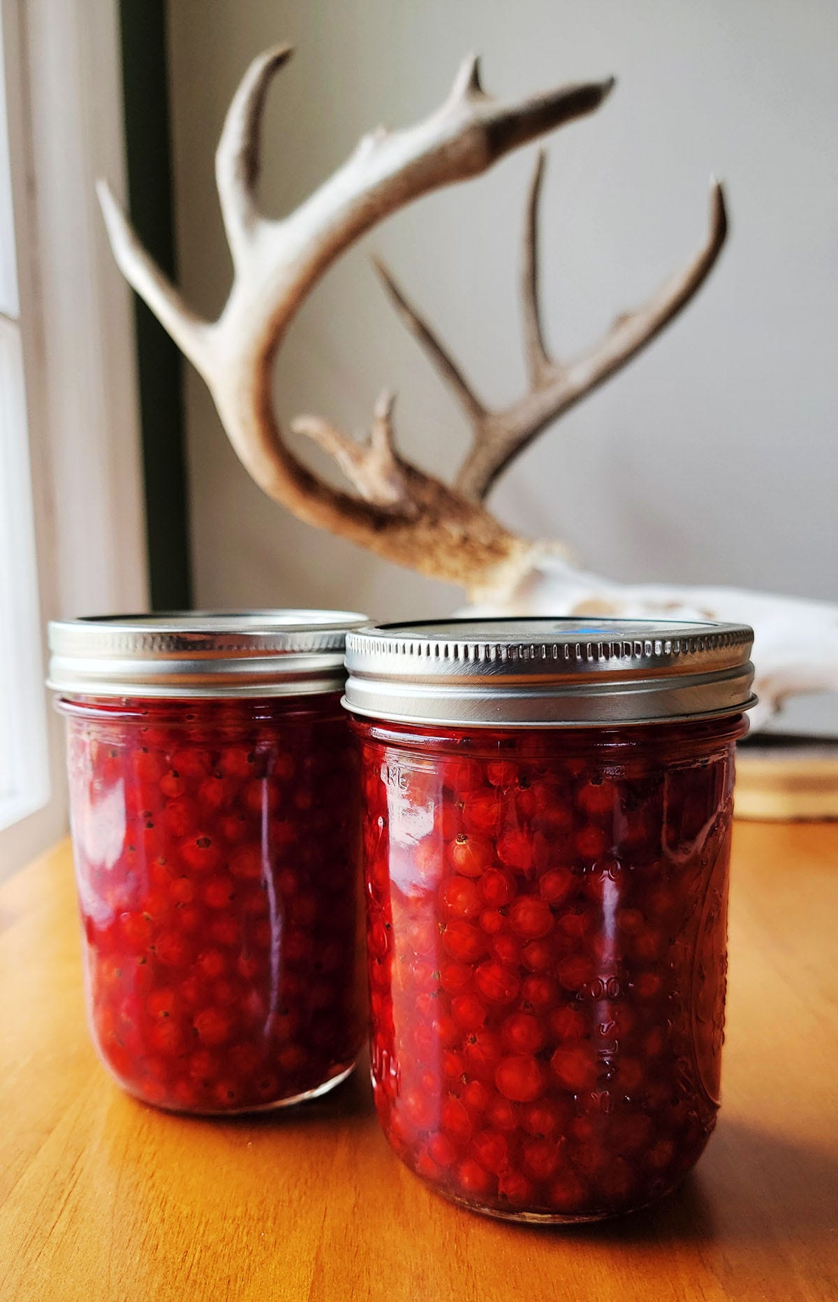 Two jars of pickled red currants. 