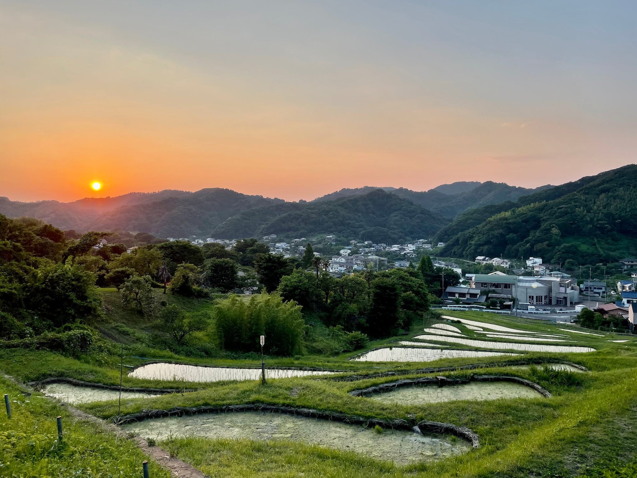 PlanetDAO002ーBamboo Forest House: A Journey Through Time and