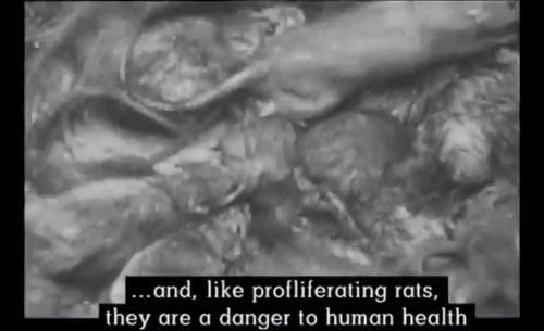 On "rats" in Europe: We condemn any sort of anti-semitism! - DiEM25  Coordinating Collective