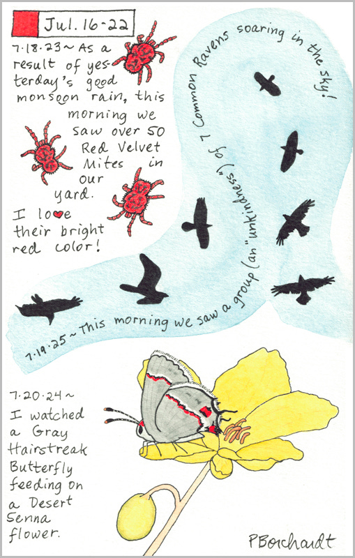 Perpetual Journal, week of Jul. 16-22: Seven Common Ravens (2025); Gray Hairstreak Butterfly (2024); Red Velvet Mites (2023)
