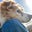Dog's avatar