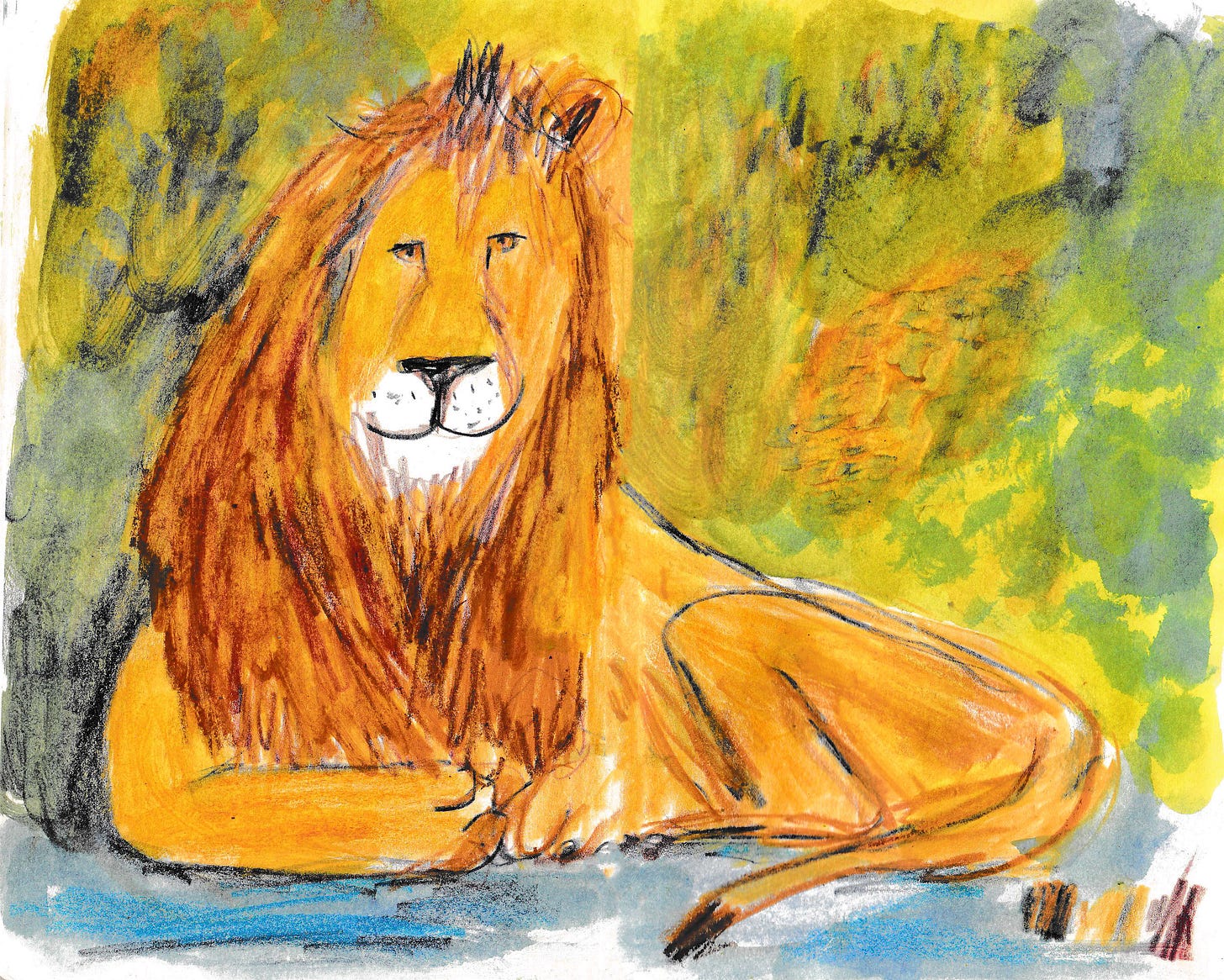 lion illustration by Beth Spencer