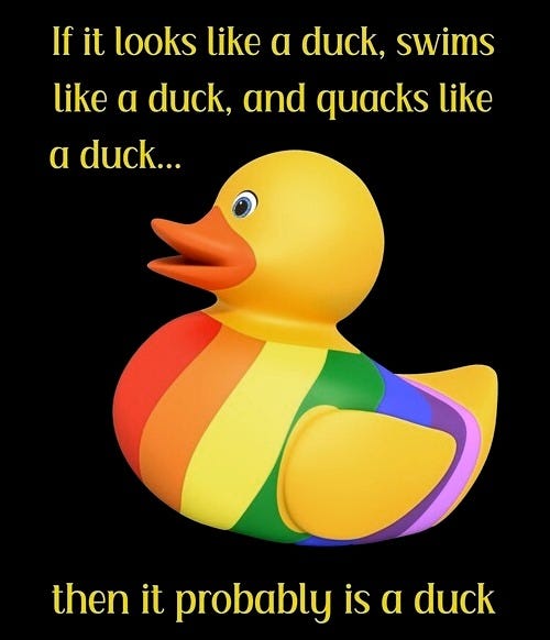 If it looks like a duck, swims like a duck, and quacks like a duck..."  Poster for Sale by Einstein12345 | Redbubble