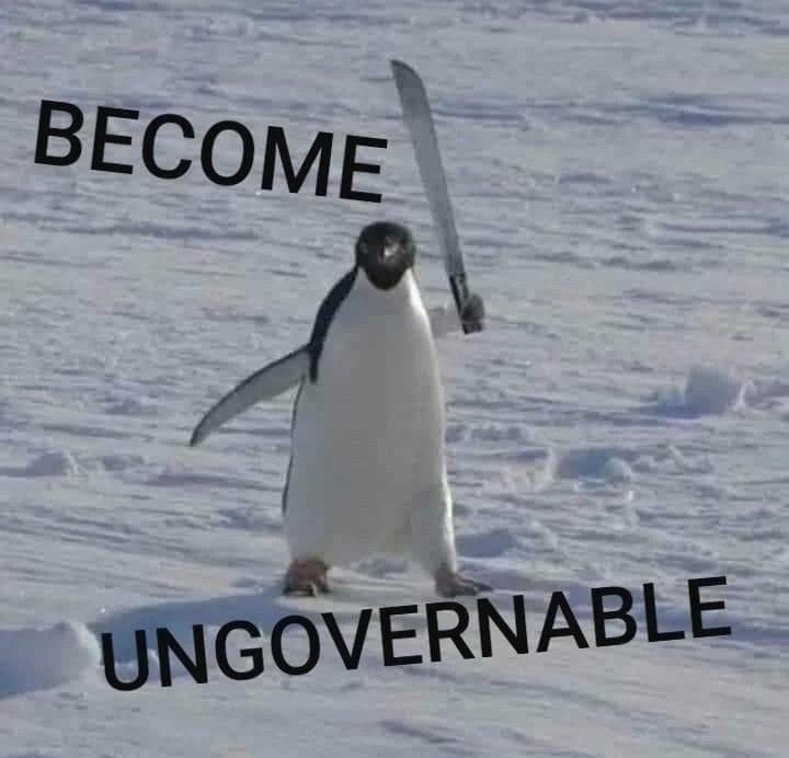 Become ungovernable : r/penguin