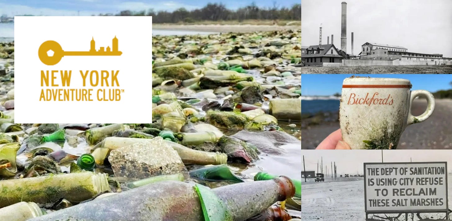 New York Adventure Club Lia De Feo Marine Park Webinar