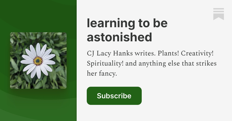 learning to be astonished | CJ Lacy Hanks | Substack