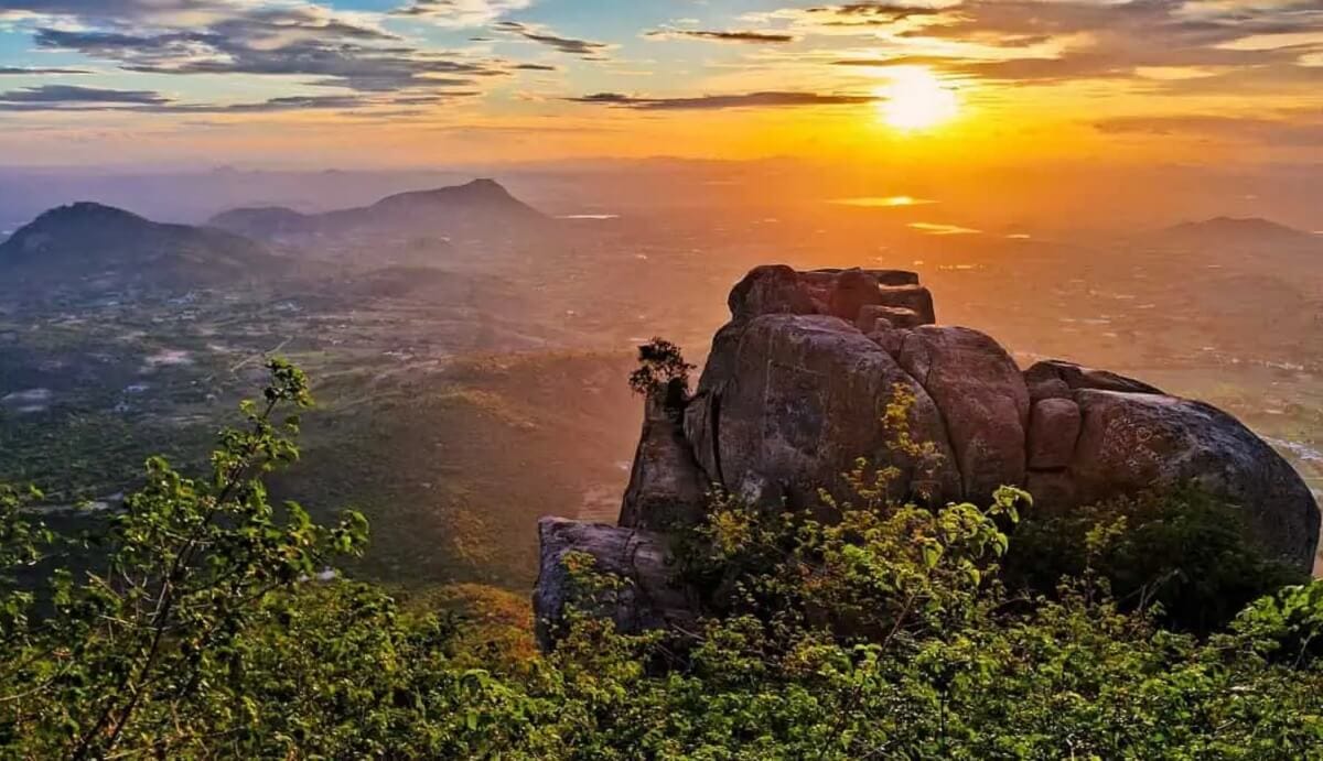 Top Places to Visit in Horsley Hills – Viewpoints, Waterfalls & More