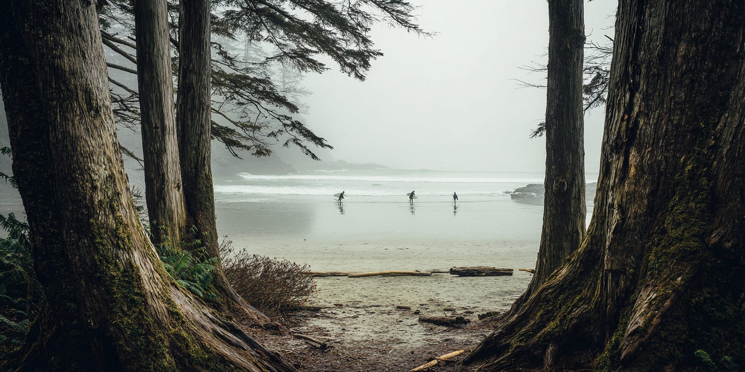 Long Beach, with surfers in the distance, surrounded by towering ancient trees from Cathedral Grove on the Pacific Rim Highway. Long Beach, with surfers in the distance, surrounded by towering ancient trees from Cathedral Grove on the Pacific Rim Highway.