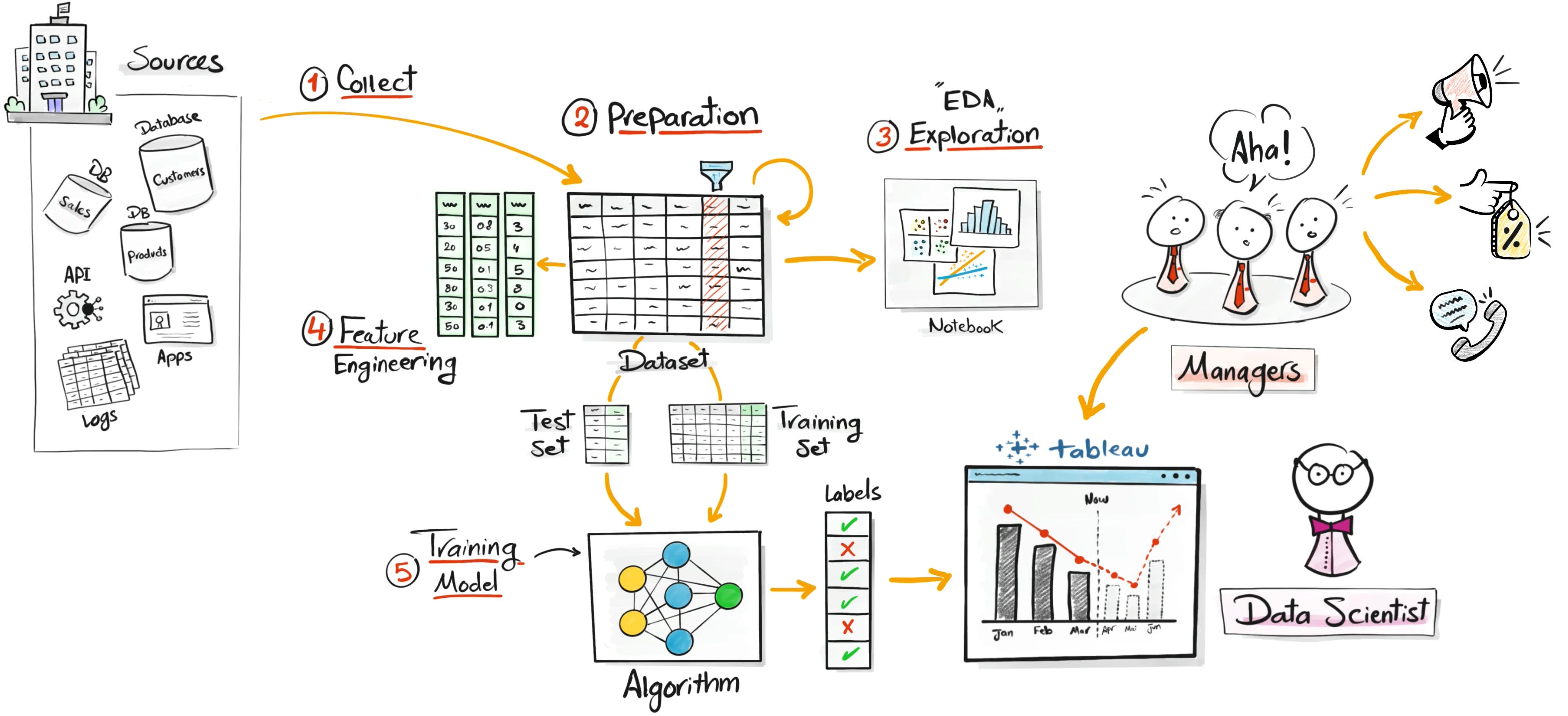 The Ultimate Data Science Roadmap (2025) – Built by a Data Expert