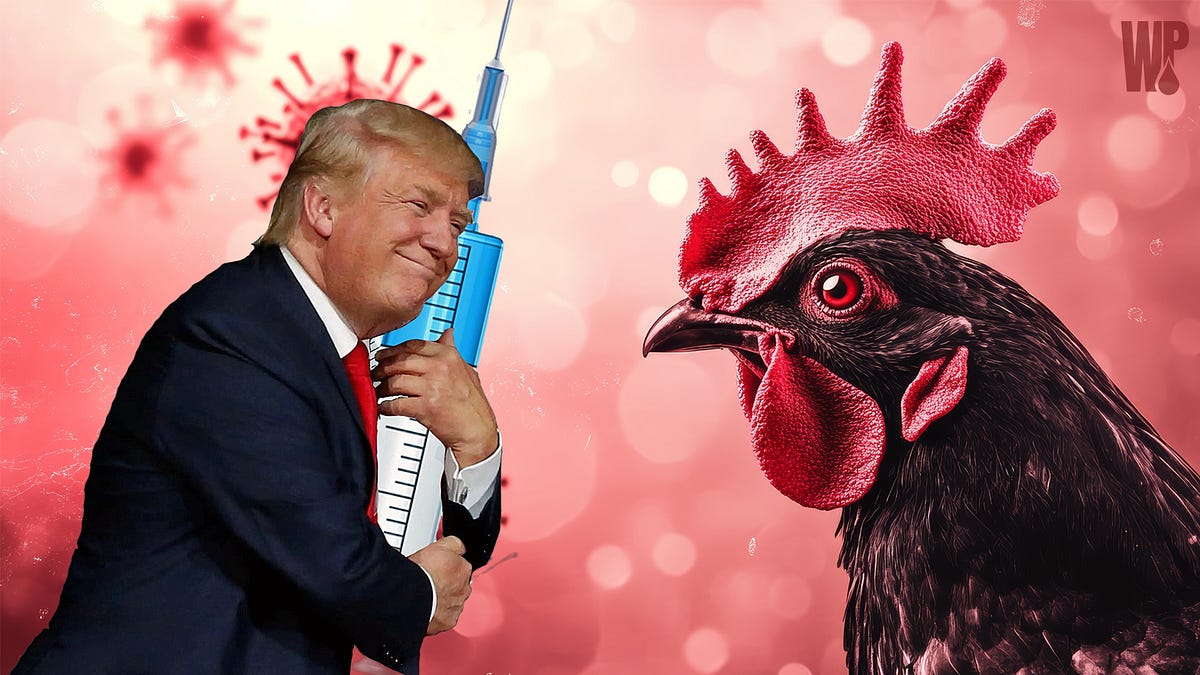 thewinepress.substack.com