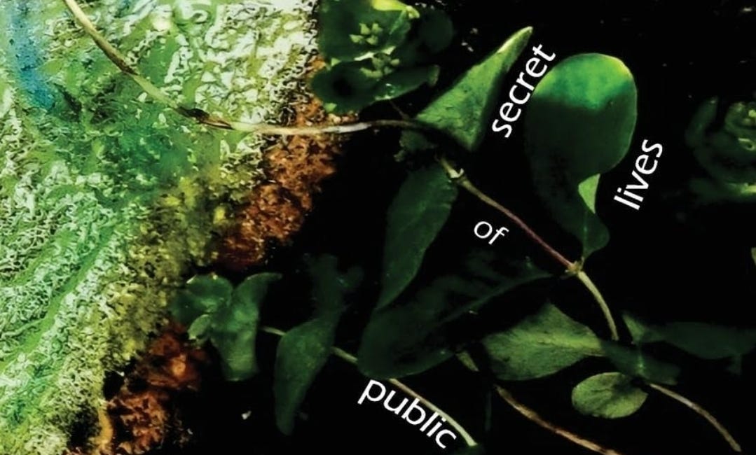 The Secret Lives of Public Servants by Anne Lévesque
