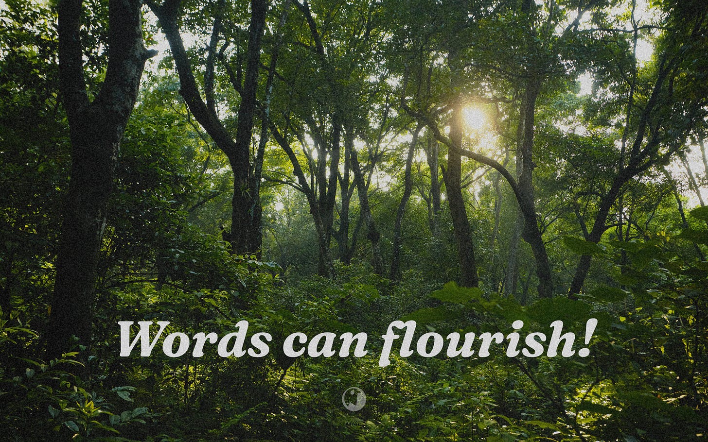 Sunlight streams through a lush forest canopy, illuminating green foliage with text overlay 'Words can flourish!'
