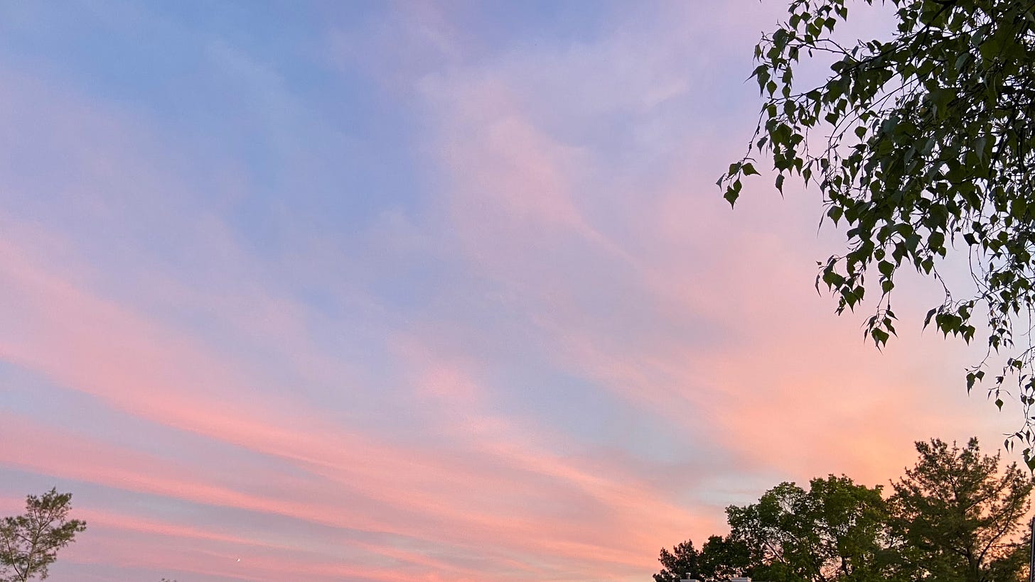 A sunset with blue sky and ribbons of pink clouds.