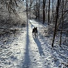 Restoring Raw Experience Part II