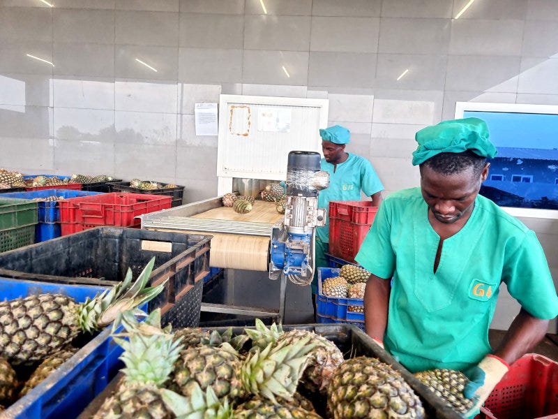 The Jus Délice pineapple juice factory in Togo. The Jus Délice pineapple juice factory in Togo.