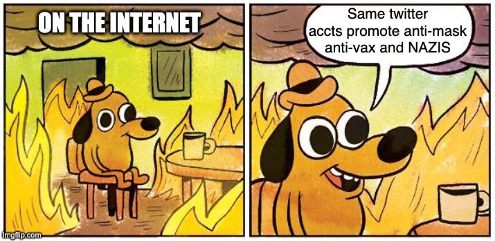 This is fine dog meme, the dog is sitting in the burning room in the first picture with the caption on the internet. the second panel the dog’s speech bubble says same twitter accounts promote anti-mask anti-vax and Nazis This is fine dog meme, the dog is sitting in the burning room in the first picture with the caption on the internet. the second panel the dog’s speech bubble says same twitter accounts promote anti-mask anti-vax and Nazis