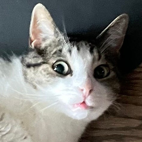 A gallery of 6 close cropped images of Fritz's face from images from the post.