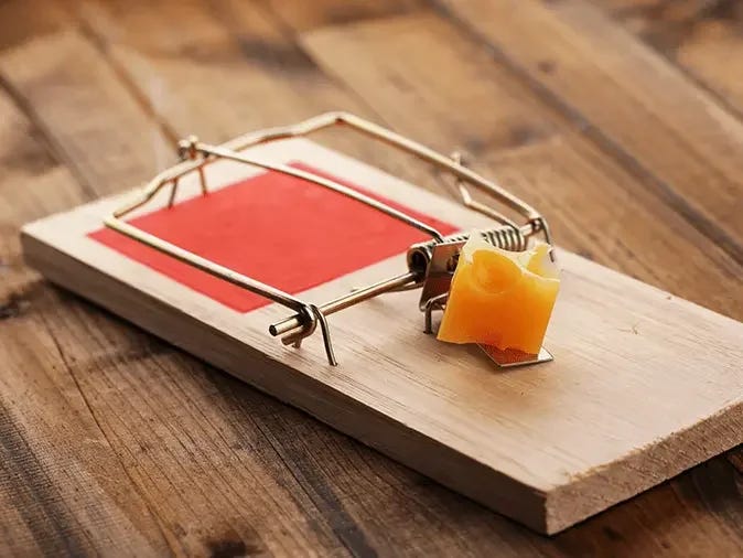 Put Down The Mouse Traps & Get Professional Pest Control Put Down The Mouse Traps & Get Professional Pest Control