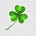Shamrock Dynasty