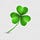Shamrock Dynasty