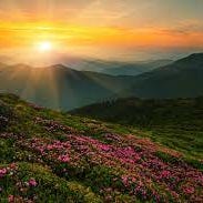 A New Dawn, a Deeper Understanding.