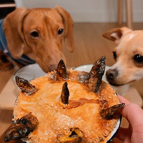 Stargazy Pie