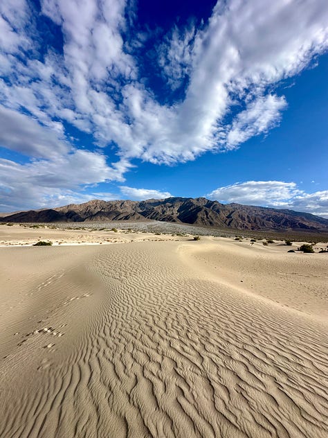 Mountain and desert scenes, wild burros