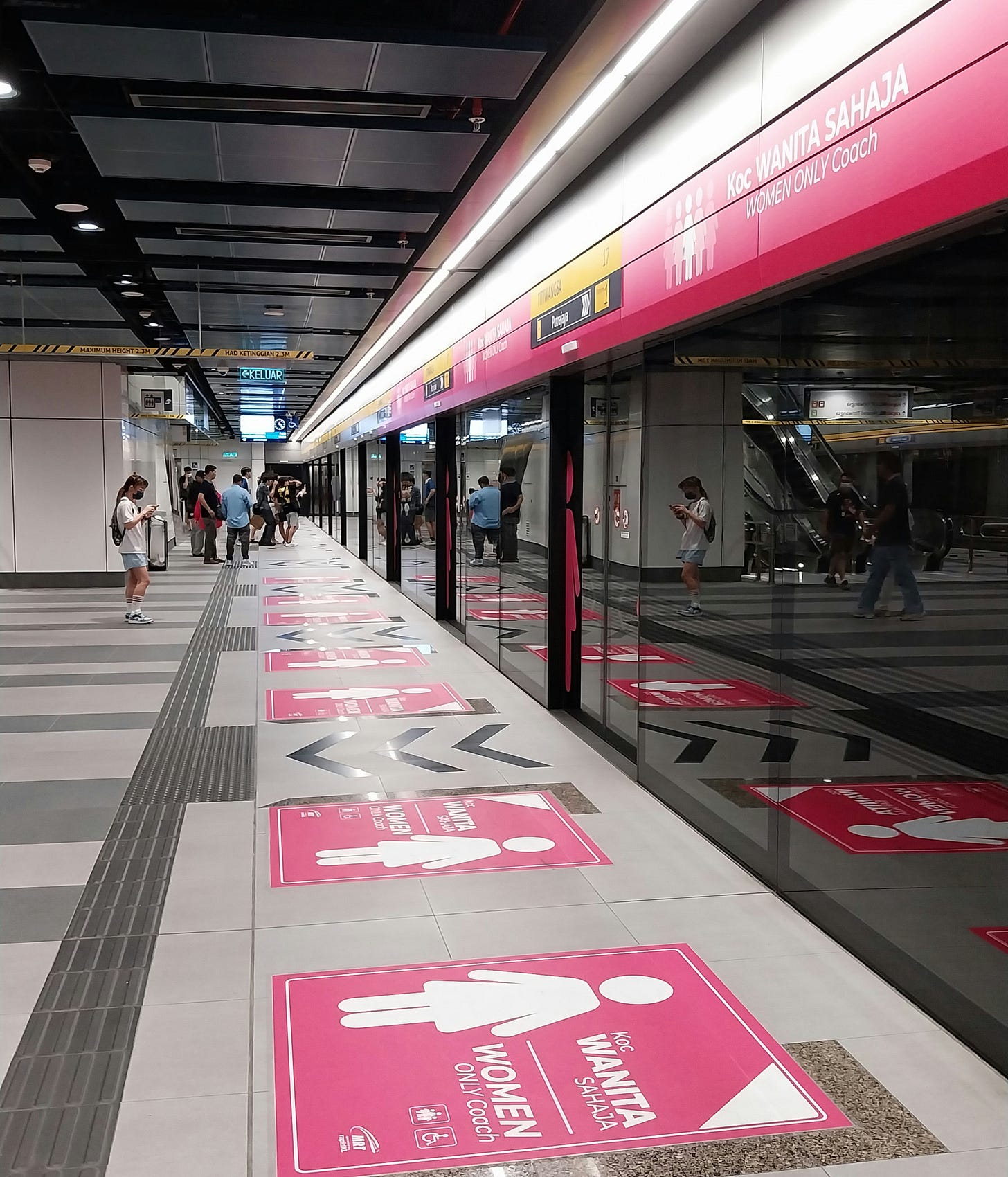 A pink graphic illustration of a train car labeled "Ladies Coach," showing female passengers and children sitting and standing inside, denoting a women-only transit space.